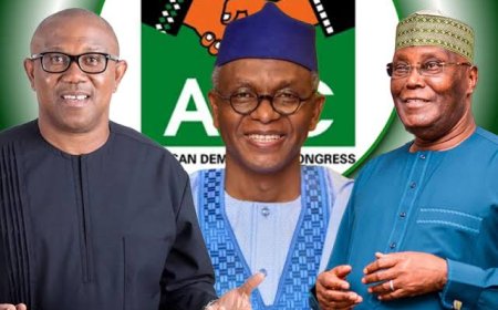 Coalition: No Group Can Change Nigeria Alone, We’ll Work Together to Give Nigerians Better Leaders in 2027 - Peter Obi