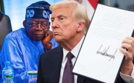Trump Snubs Tinubu, Invites Five African Leaders to White House