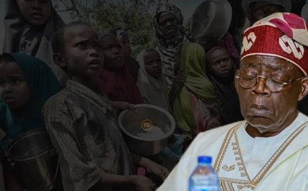 83% of Nigerians Lose Trust in Tinubu Govt, National Assembly, Judiciary as Nigerians Now Seem to be United in Shared Struggle — Survey Reveals