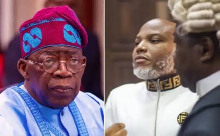 2027 Election: Igbos Won’t Trade Nnamdi Kanu’s Freedom For Your Re-election - Igbo Nation Warns Tinubu