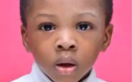 Senate Recommends N200 Million Compensation for Family of 2-Year-old Boy Killed By NDLEA Official's Stray Bullet in Delta