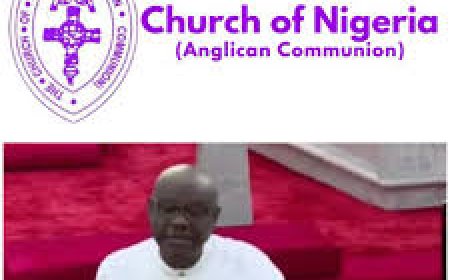 Week After Wike's Rant at Abuja Church, Anglican Church Bans Nigerian Politicians From Podiums