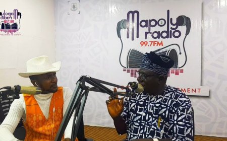 World Population Day 2025:Tinubu Deserves Commendation for Digital Population Census Initiative - Ogun NPC Director
