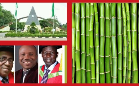 WINE FROM BAMBOO? FUNAAB Demonstrates Wine Making from Bamboo, Sets to Hold Seminar on Tuesday, July 15