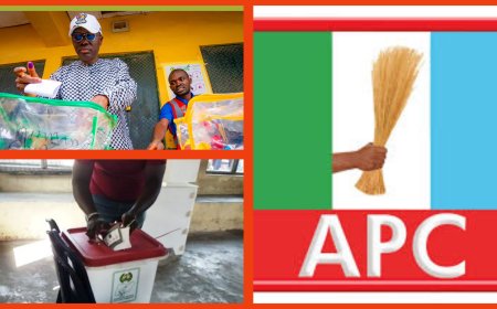 Lagos LG Polls: APC Sweeps Chairmanship, Councillorship Seats as LASIEC Commences Release of Results