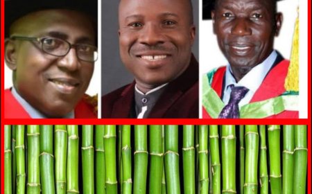 NATIONAL PUBLIC HOLIDAY:FUNAAB- IFSERAR’s Indigenous Knowledge Programme on Bamboo Wine, Aadun Production Rescheduled to July 22