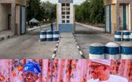 Tinubu Rename University of Maiduguri After Buhari, Says He Was a Man of Integrity