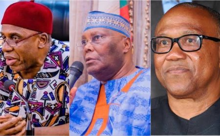 2027 Election: ADC Constitution Bars Obi, Clears Path for Atiku, Amaechi as Possible Candidates 