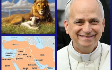 Pope Leo XIV Attracts Nods, Criticisms Over Peace Message on Middle East