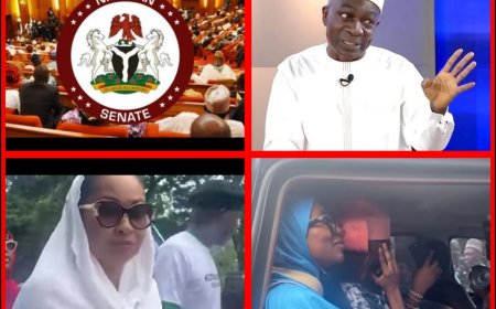 Natasha Senate Saga: 'We are Lawmakers, Not spectators to be Watching Skits Now Turning into a Season Film,' Says Senate Spokesperson 