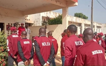 NDLEA Operative Dies as Drug Peddlers Shoot Him on His Neck During Raid in Ondo