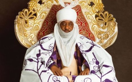 Python Domestication: Emir of Kano Berates Former Accountant General of Nigeria for Endangering Community
