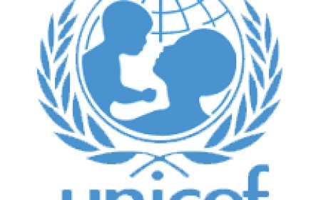 UNICEF Appoints New Country Representative for Nigeria