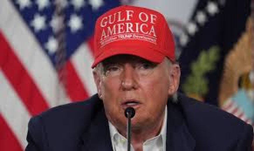 Israel Agreed to 60-day Ceasefire in Gaza, I Hope Hamas Takes This Deal – Trump Discloses