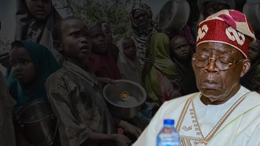 83% of Nigerians Lose Trust in Tinubu Govt, National Assembly, Judiciary as Nigerians Now Seem to be United in Shared Struggle — Survey Reveals