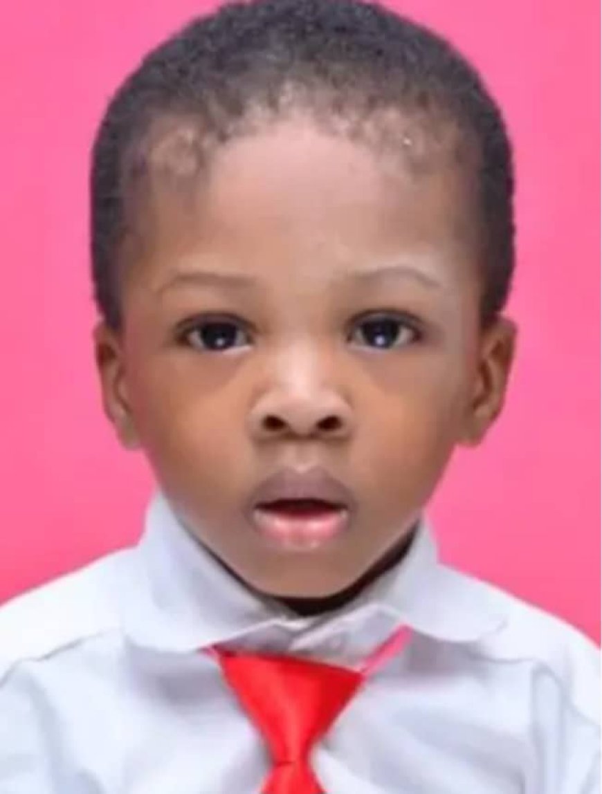 Senate Recommends N200 Million Compensation for Family of 2-Year-old Boy Killed By NDLEA Official's Stray Bullet in Delta