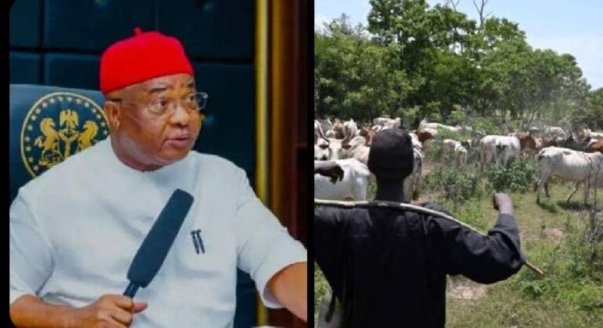 "We Can No Longer Tolerate Unchecked Roaming of Livestock" Imo Govt Says, Gives Herders July 24 as Deadline to End Open Grazing