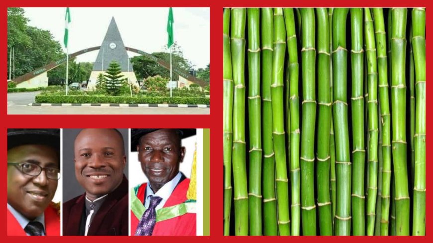 WINE FROM BAMBOO? FUNAAB Demonstrates Wine Making from Bamboo, Sets to Hold Seminar on Tuesday, July 15