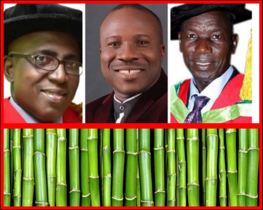 NATIONAL PUBLIC HOLIDAY:FUNAAB- IFSERAR’s Indigenous Knowledge Programme on Bamboo Wine, Aadun Production Rescheduled to July 22