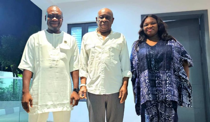 Pelican Valley CEO, Ambassador Adeyemo, Wife, Celebrate Aremo Olusegun Osoba At 86