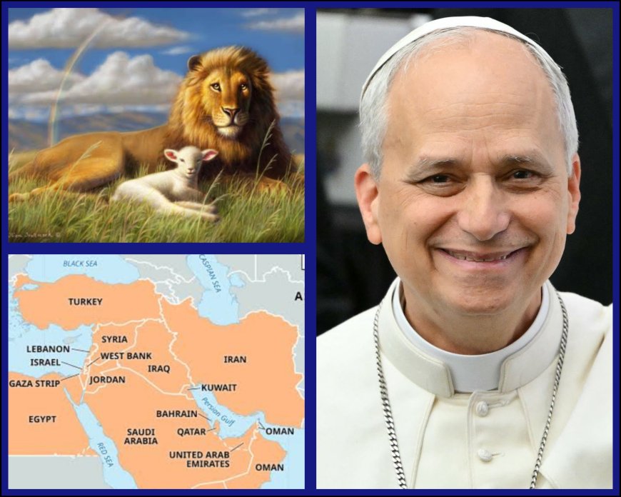 Pope Leo XIV Attracts Nods, Criticisms Over Peace Message on Middle East