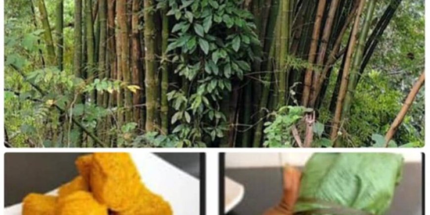 Rescheduled Innovation Seminar on Bamboo Wine Production, African Snacks, Aadun Now Holds on Tuesday at FUNAAB