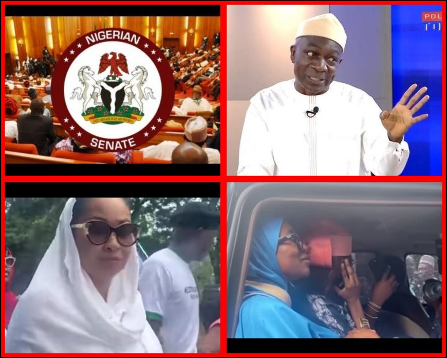 Natasha Senate Saga: 'We are Lawmakers, Not spectators to be Watching Skits Now Turning into a Season Film,' Says Senate Spokesperson