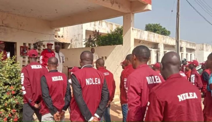 NDLEA Operative Dies as Drug Peddlers Shoot Him on His Neck During Raid in Ondo