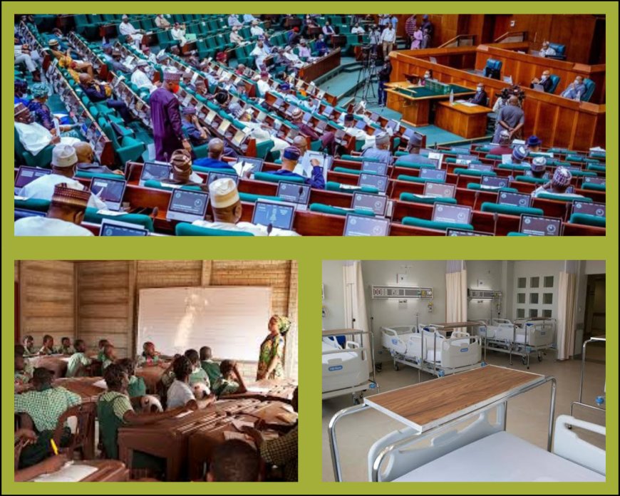Will Nigerian Lawmakers Pass New Bill Prohibiting Patronage of Private Schools, Hospitals By Public, Civil Servants to Law?