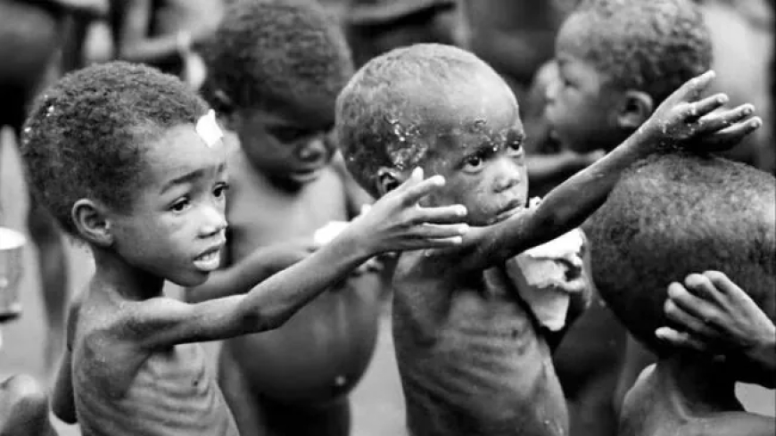 Malnutrition Crisis in Northern Nigeria Claims Over 650 Children Lives Within 7 Months of 2025 – MSF