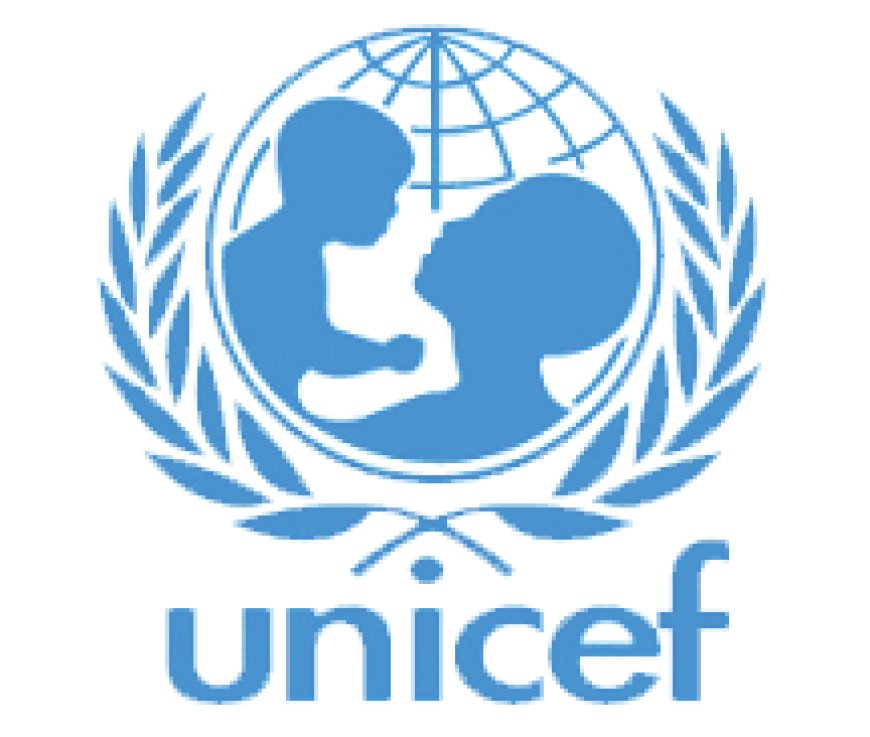 UNICEF Appoints New Country Representative for Nigeria 