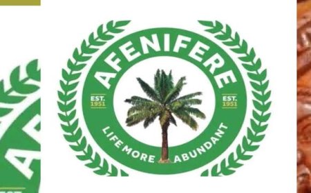 Afenifere Hails UN as July 7 Becomes ‘World Amotekun Day’