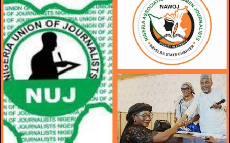 NEW APPOINTMENT:Dr. Adeola Ekine Appointed SA To NUJ President As NAWOJ Lagos Chapter Commend Her Appointment - Says It's An Honour Well Deserved.