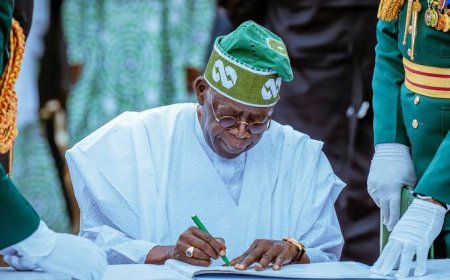 Tinubu's Govt Faces Backlash Over Alleged Disappearance of Public Spending Records