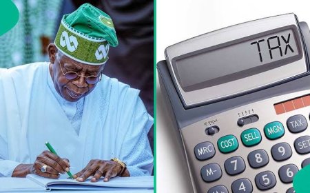 "A Fair Tax System Must Never Punish Poverty Or Weigh Down The Most Vulnerable" - Says Tinubu, Unveils Tax Calculator to Show Impact on Incomes