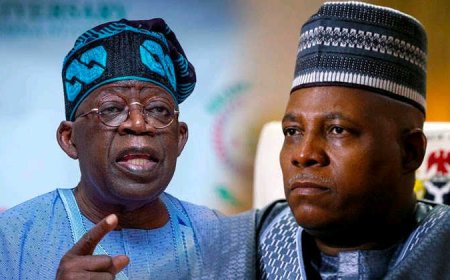 APC Forum Warns Tinubu Against Dropping Shettima in 2027, Cites Risk of Losing 80% Northern Muslim Votes