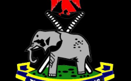 Ogun Police Nabs Man Seen Assaulting Wife in Viral Video