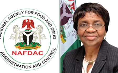 NAFDAC Raises Alarm as Fake Postinor-2 Contraceptives Circulate in Nigeria