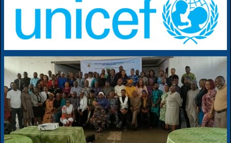 UNICEF, Southwest Stakeholders Meet To Tackle Flooding, Cholera, Emergencies