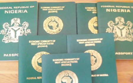 NIS Increases Passport Fees Again, Gives Surprising Reasons
