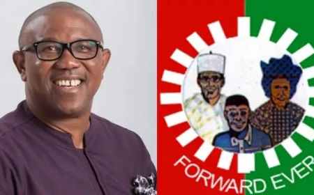 Labour Party Urges Tinubu to Arrest Peter Obi, Aisha Yesufu, Sarah Ibrahim Over Treason Allegations