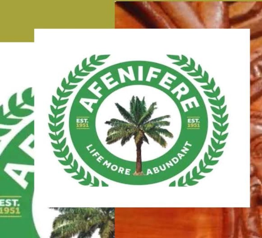 Afenifere Hails UN as July 7 Becomes ‘World Amotekun Day’