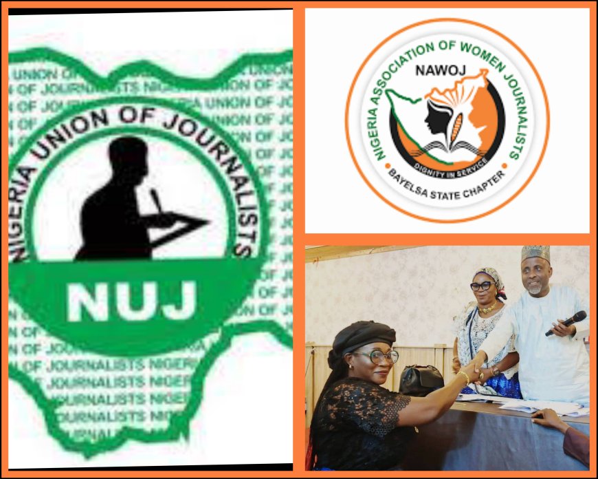 NEW APPOINTMENT:Dr. Adeola Ekine Appointed SA To NUJ President As NAWOJ Lagos Chapter Commend Her Appointment - Says It's An Honour Well Deserved.