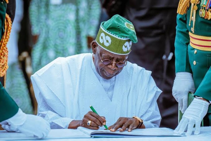 Tinubu's Govt Faces Backlash Over Alleged Disappearance of Public Spending Records