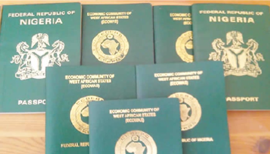 NIS Increases Passport Fees Again, Gives Surprising Reasons