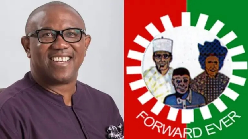 Labour Party Urges Tinubu to Arrest Peter Obi, Aisha Yesufu, Sarah Ibrahim Over Treason Allegations