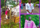 MAPOLY ELECTRIFICATION UPGRADE: Student Leaders Appalud Dapo Abiodun, Request More Interventions