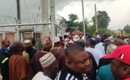 Niger Community Nearly Runs M@d After NSPCL Supplies Them Electricity After 40 Years of Darkness