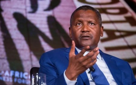 Refrain From Using Our Logo - Dangote Issues Fresh Warning to Unauthorised Truck Drivers