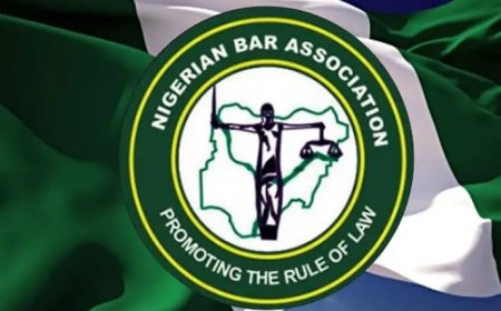 NBA Sues Police For Allegedly Extorting Motorists With Tinted-glass Permit Policy